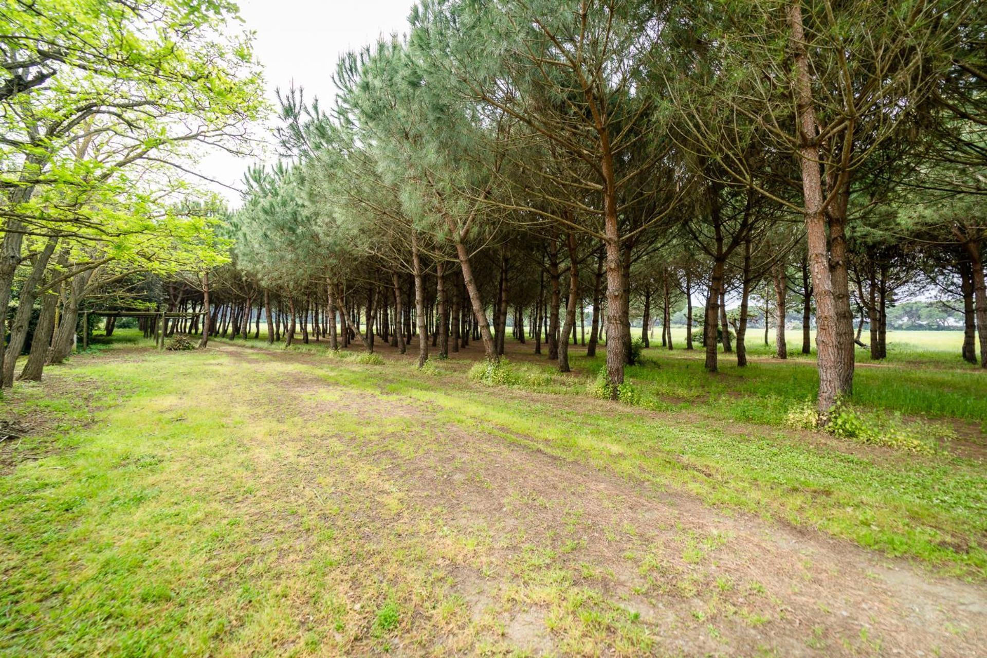 Agriturismo Bio Femminella Principina a Mare Exterior foto