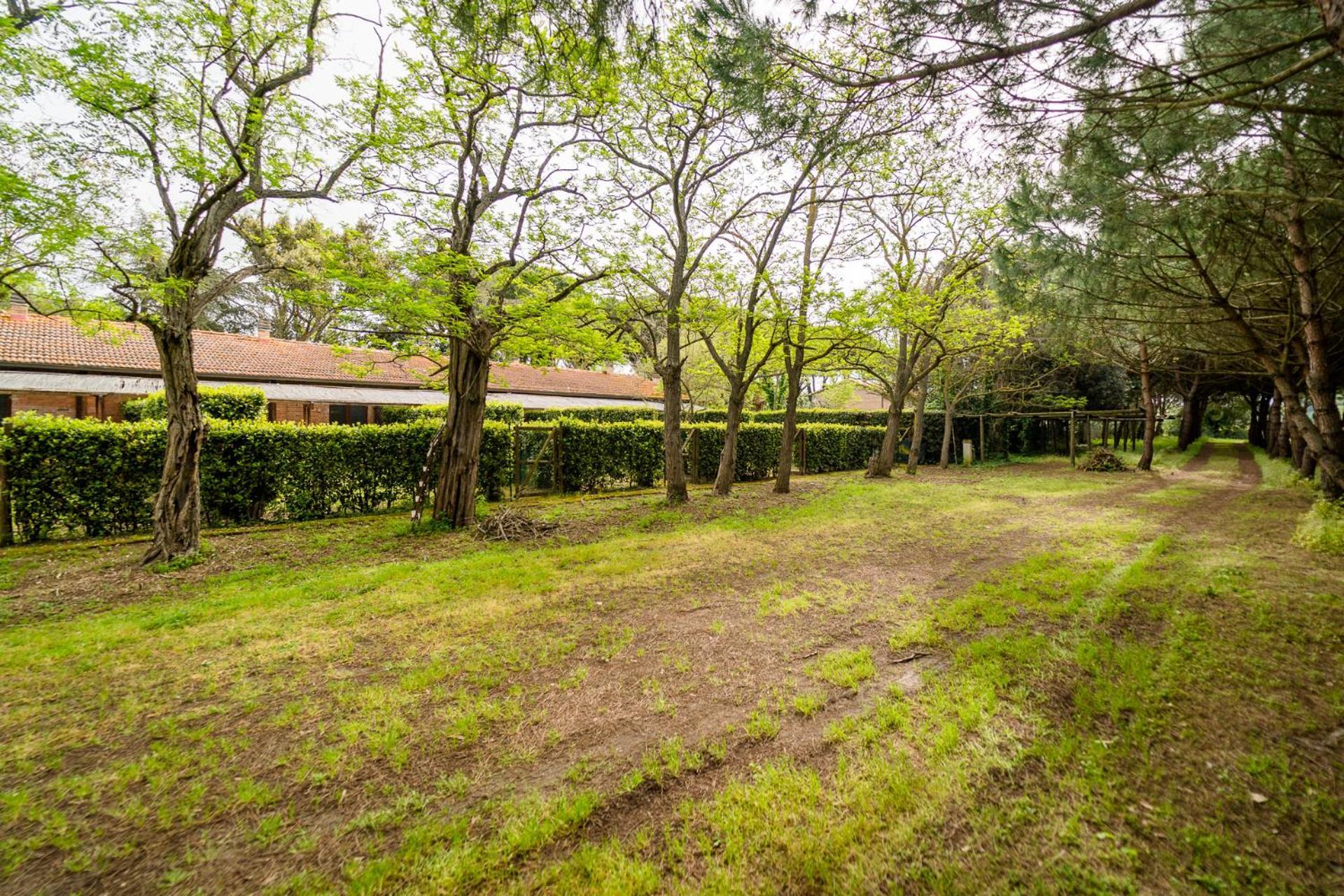Agriturismo Bio Femminella Principina a Mare Exterior foto
